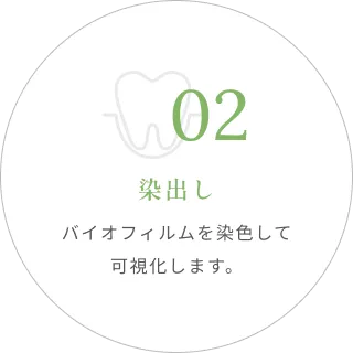 02｜染出し｜バイオフィルムを染色して可視化します。